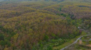 00 OLD PARKERSBURG TPKE, WEST AUGUSTA, Virginia 24485, ,Land,For sale,00 OLD PARKERSBURG TPKE,VAAG2000578 MLS # VAAG2000578