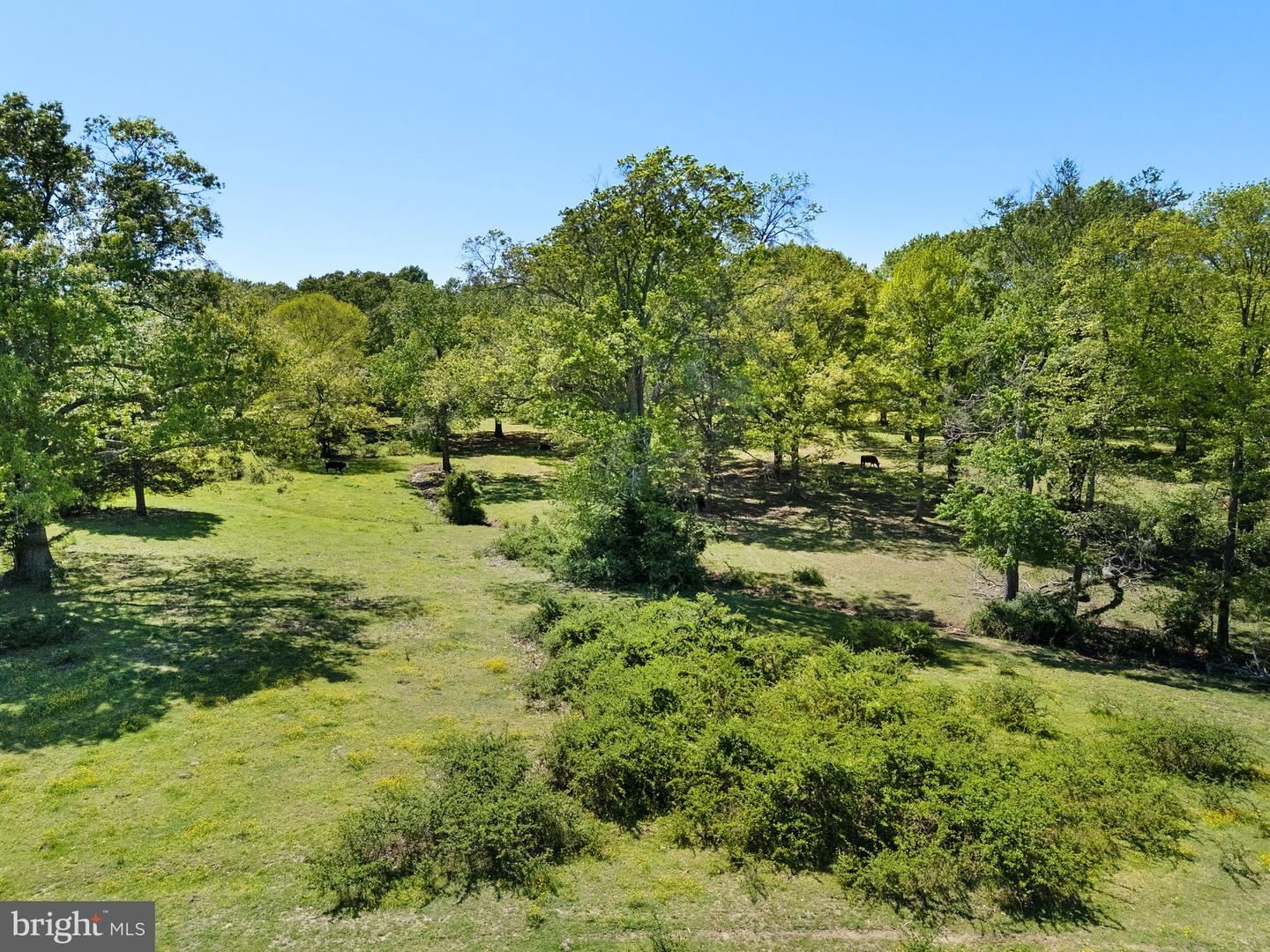 0 ELK RUN ROAD, MIDLAND, Virginia 22728, ,Land,For sale,0 ELK RUN ROAD,VAFQ2016428 MLS # VAFQ2016428