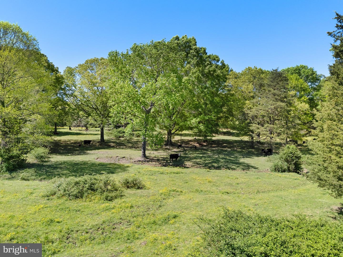 0 ELK RUN ROAD, MIDLAND, Virginia 22728, ,Land,For sale,0 ELK RUN ROAD,VAFQ2016428 MLS # VAFQ2016428