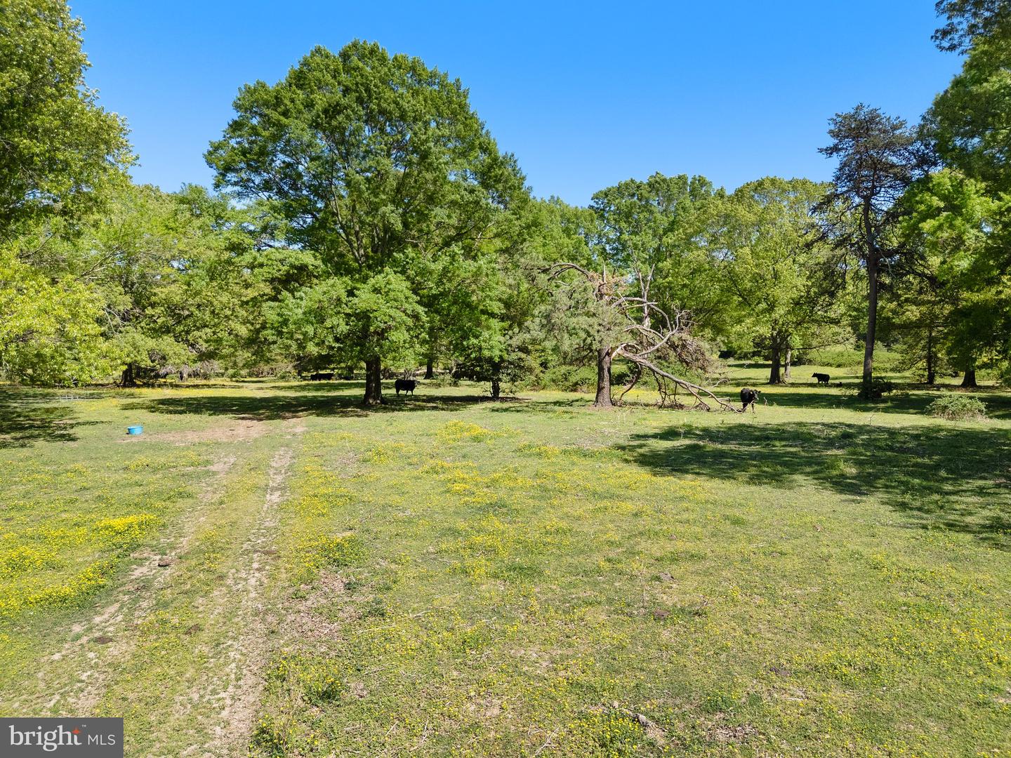 0 ELK RUN ROAD, MIDLAND, Virginia 22728, ,Land,For sale,0 ELK RUN ROAD,VAFQ2016428 MLS # VAFQ2016428