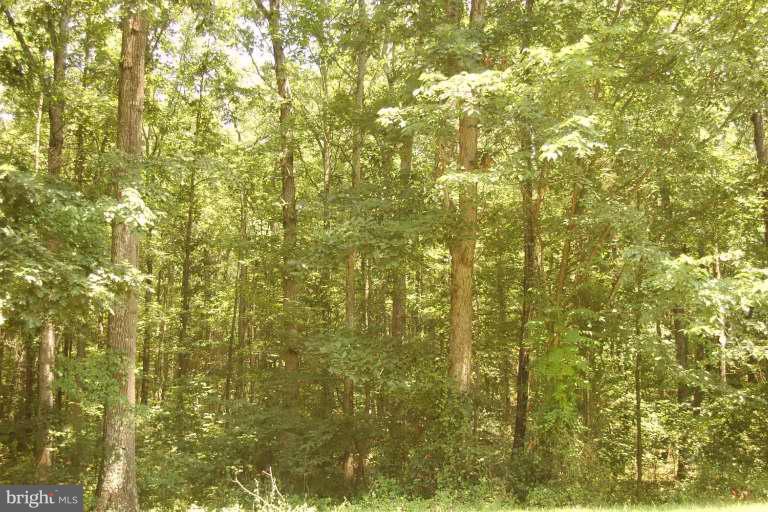 8832 PAMUNKEY RD, SPOTSYLVANIA, Virginia 22551, ,Land,For sale,8832 PAMUNKEY RD,VASP2032696 MLS # VASP2032696