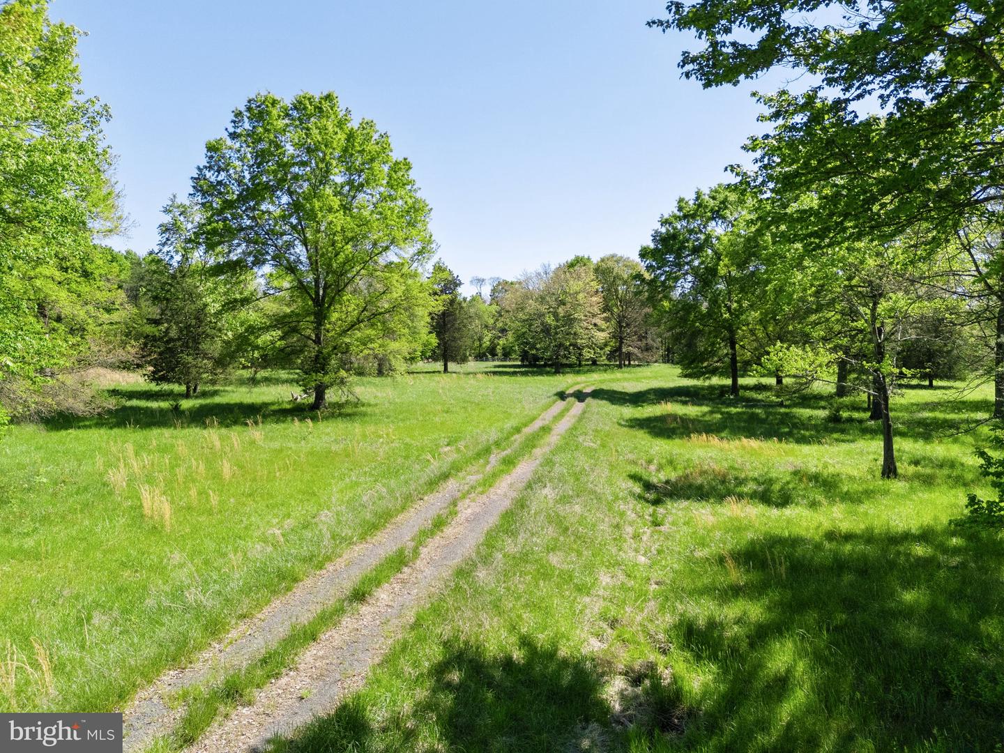 0 RITCHIE ROAD, MIDLAND, Virginia 22728, ,Farm,For sale,0 RITCHIE ROAD,VAFQ2016430 MLS # VAFQ2016430