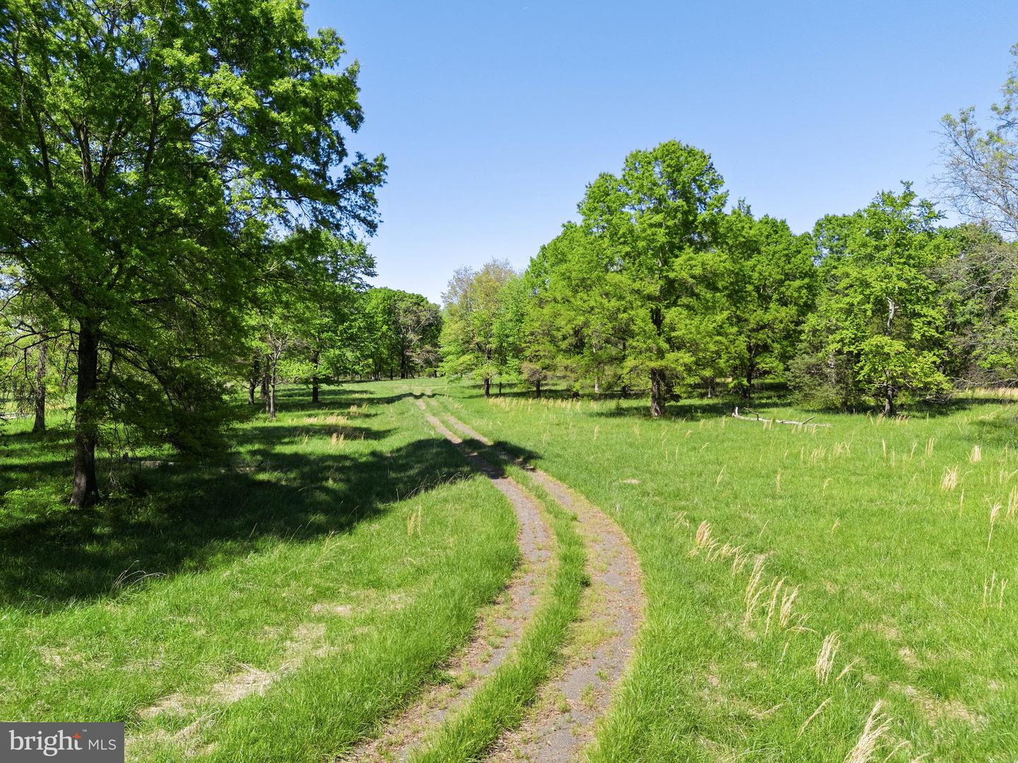 0 RITCHIE ROAD, MIDLAND, Virginia 22728, ,Farm,For sale,0 RITCHIE ROAD,VAFQ2016430 MLS # VAFQ2016430