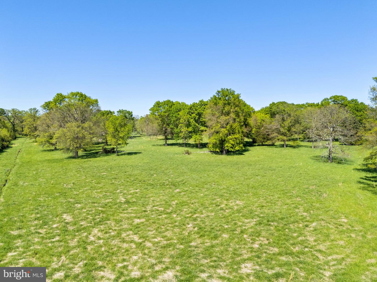 0 RITCHIE ROAD, MIDLAND, Virginia 22728, ,Farm,For sale,0 RITCHIE ROAD,VAFQ2016430 MLS # VAFQ2016430