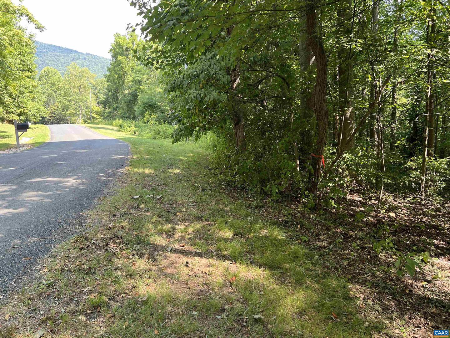 229 CAMPING RIDGE, NELLYSFORD, Virginia 22958, ,Land,For sale,229 CAMPING RIDGE,663906 MLS # 663906