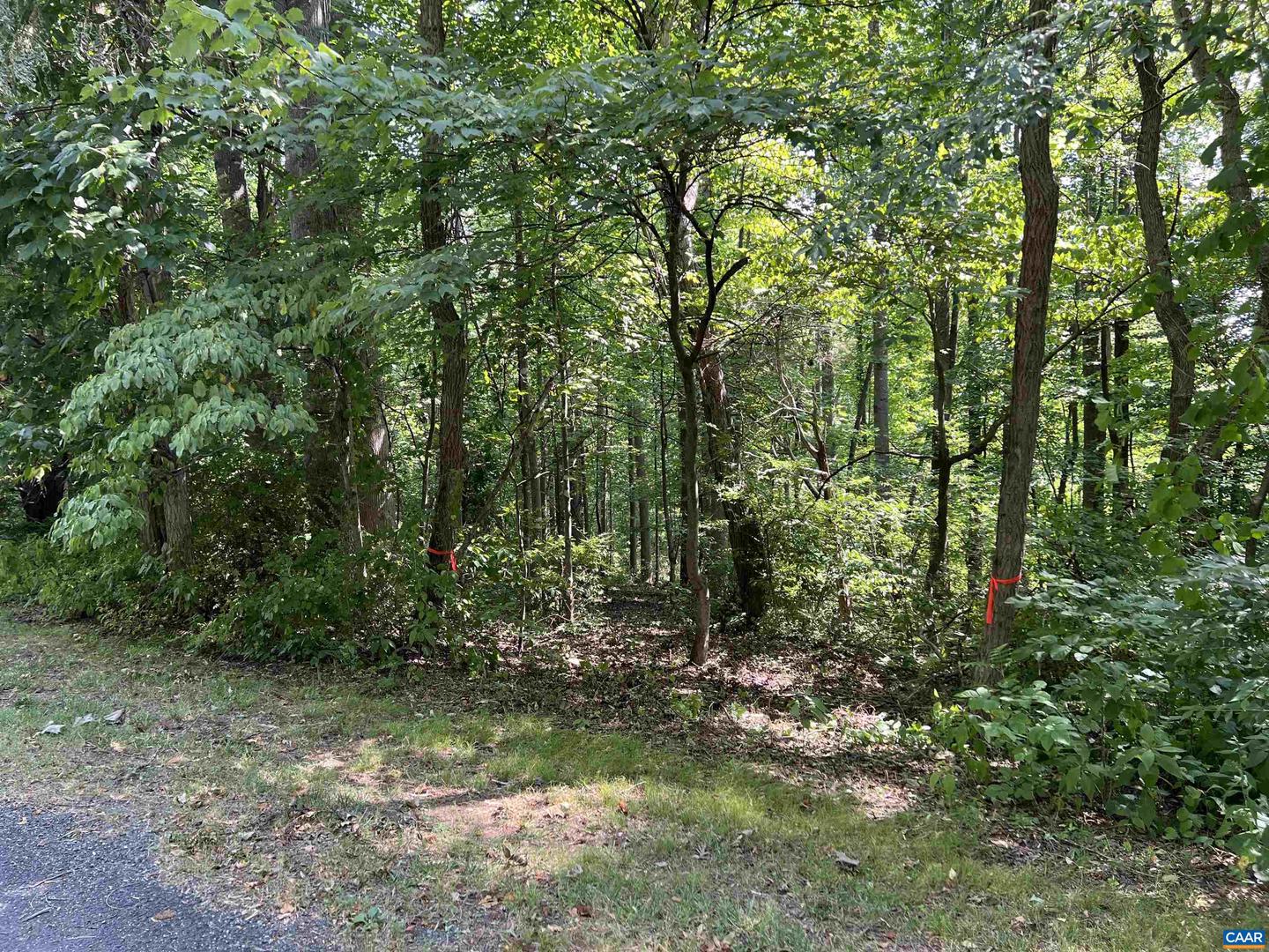 229 CAMPING RIDGE, NELLYSFORD, Virginia 22958, ,Land,For sale,229 CAMPING RIDGE,663906 MLS # 663906