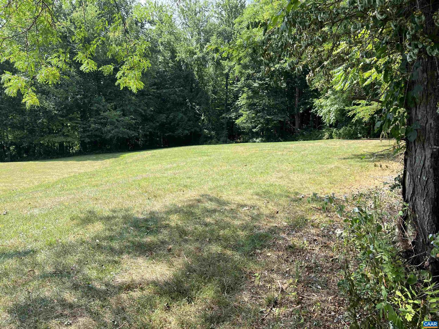 229 CAMPING RIDGE, NELLYSFORD, Virginia 22958, ,Land,For sale,229 CAMPING RIDGE,663906 MLS # 663906