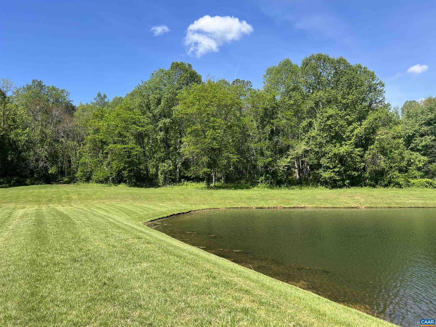 229 CAMPING RIDGE, NELLYSFORD, Virginia 22958, ,Land,For sale,229 CAMPING RIDGE,663906 MLS # 663906