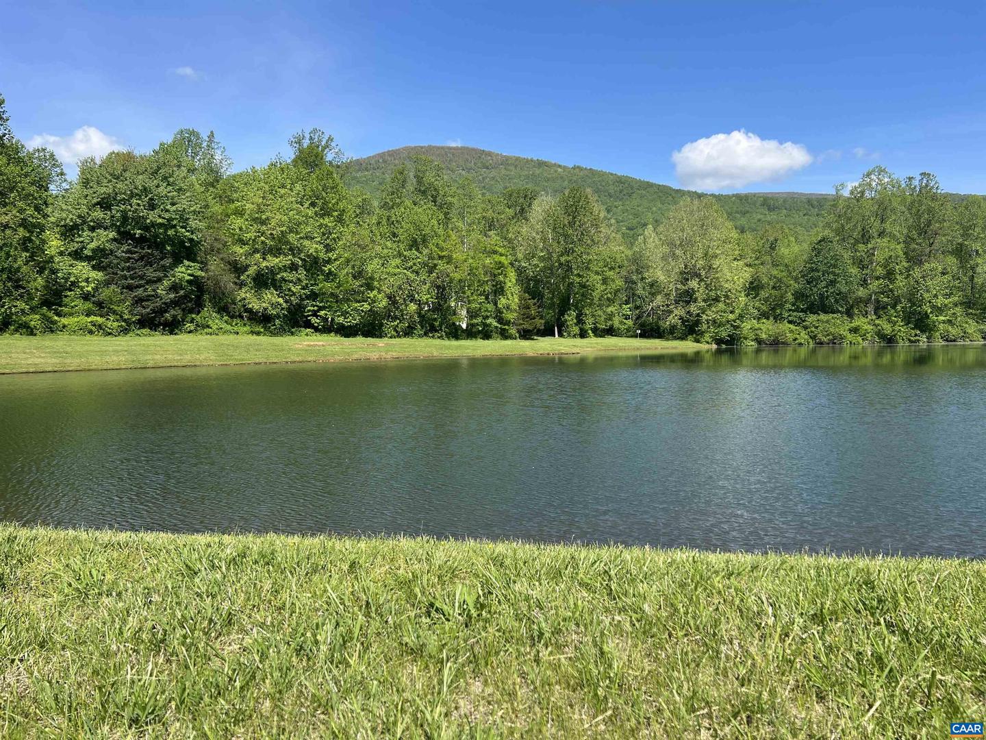 229 CAMPING RIDGE, NELLYSFORD, Virginia 22958, ,Land,For sale,229 CAMPING RIDGE,663906 MLS # 663906