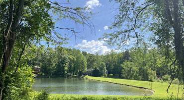 229 CAMPING RIDGE, NELLYSFORD, Virginia 22958, ,Land,For sale,229 CAMPING RIDGE,663906 MLS # 663906