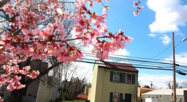 310 CHARLES ST, FREDERICKSBURG, Virginia 22401, 2 Bedrooms Bedrooms, ,1 BathroomBathrooms,Residential,For sale,310 CHARLES ST,VAFB2005504 MLS # VAFB2005504