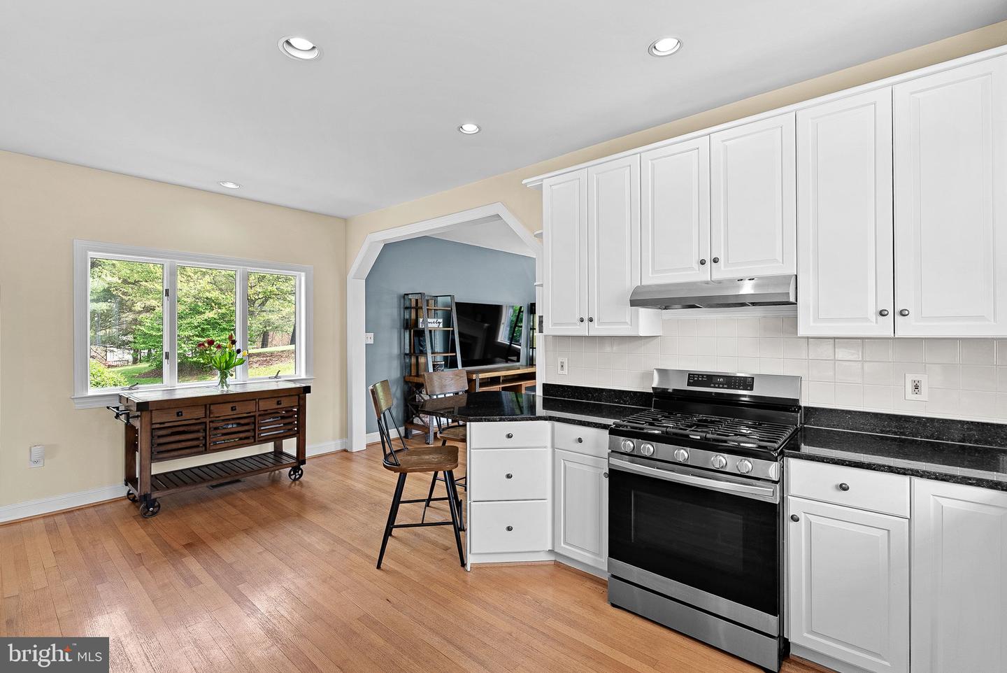 40220 HAYWOOD LN, LOVETTSVILLE, Virginia 20180, 3 Bedrooms Bedrooms, ,3 BathroomsBathrooms,Residential,For sale,40220 HAYWOOD LN,VALO2094902 MLS # VALO2094902