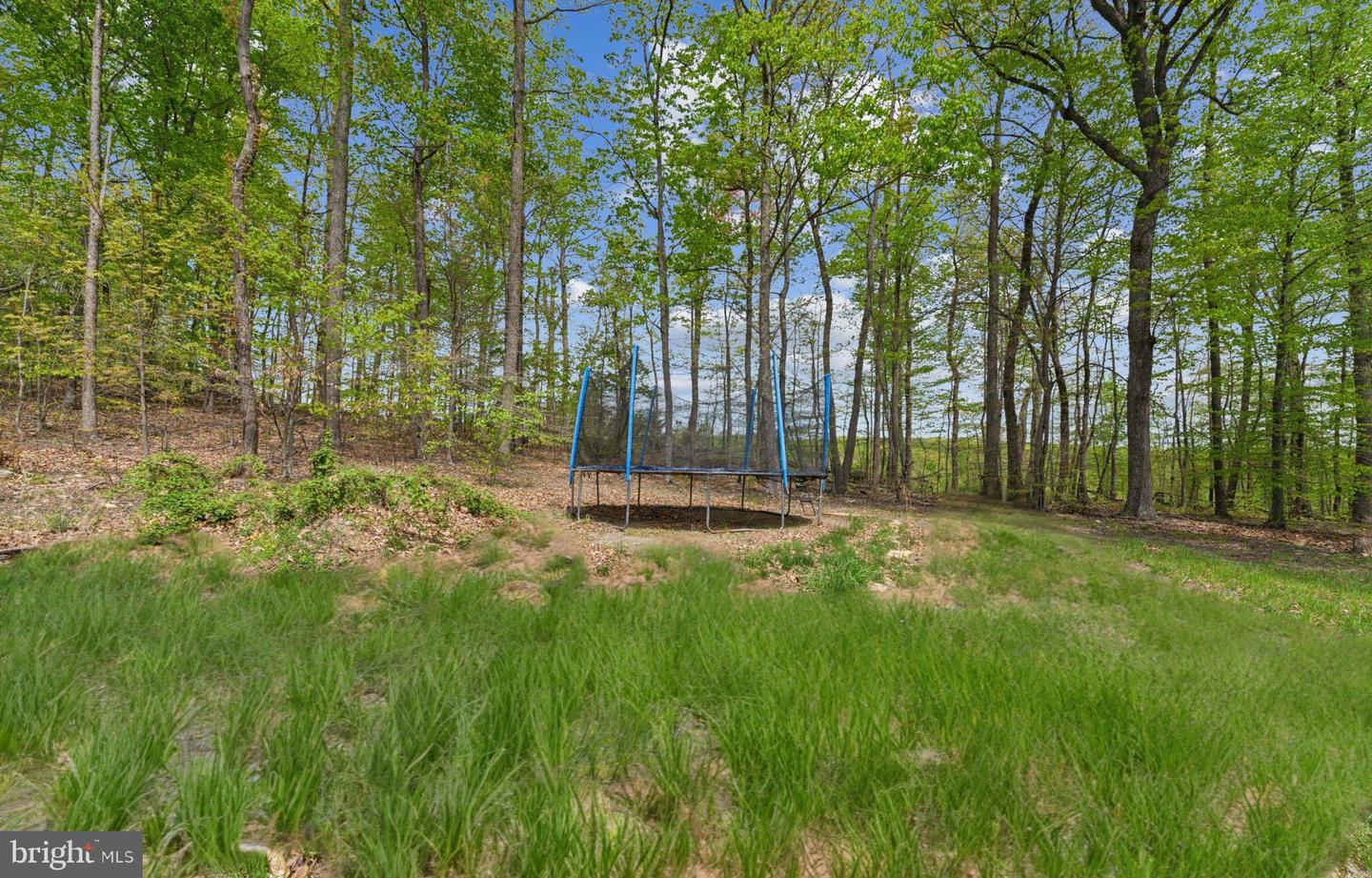 13870 STEED HILL LN, LEESBURG, Virginia 20176, 4 Bedrooms Bedrooms, ,3 BathroomsBathrooms,Residential,For sale,13870 STEED HILL LN,VALO2095020 MLS # VALO2095020