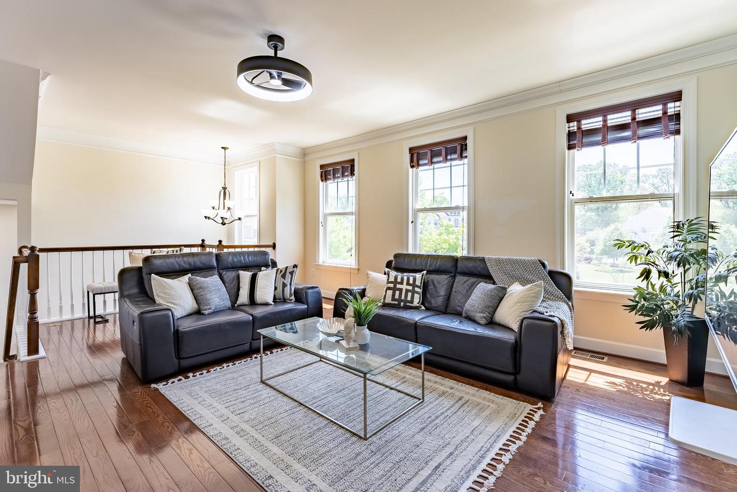 10290 GREENSPIRE DR, OAKTON, Virginia 22124, 3 Bedrooms Bedrooms, ,2 BathroomsBathrooms,Residential,For sale,10290 GREENSPIRE DR,VAFX2236400 MLS # VAFX2236400