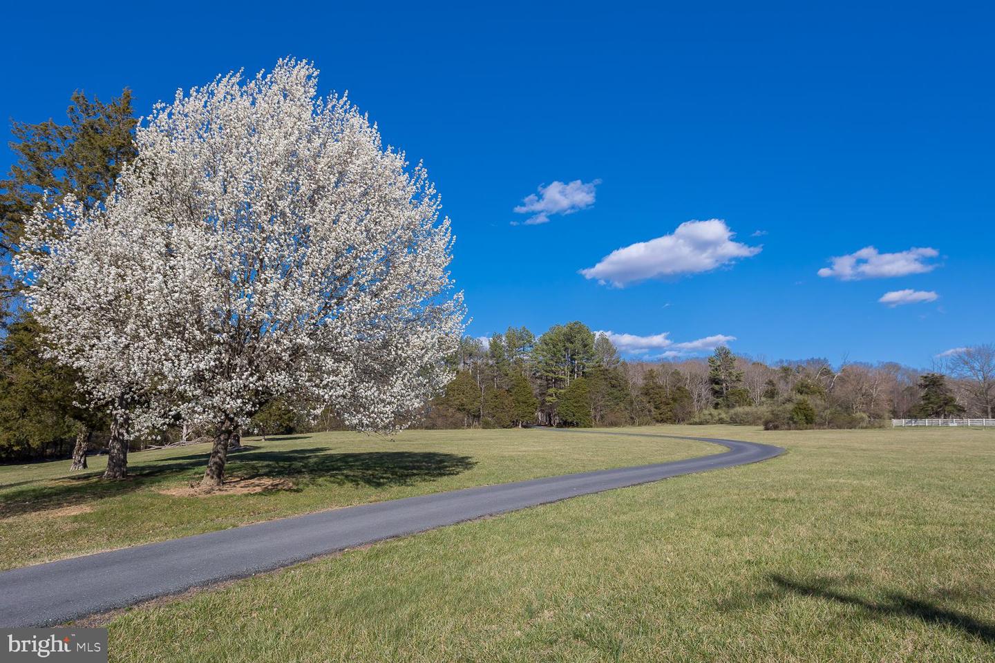 5983 LABS RUN LN, PENN LAIRD, Virginia 22846, 4 Bedrooms Bedrooms, ,3 BathroomsBathrooms,Residential,For sale,5983 LABS RUN LN,VARO2002248 MLS # VARO2002248