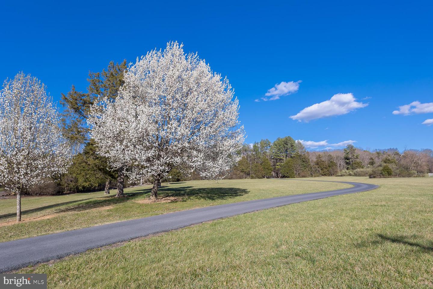 5983 LABS RUN LN, PENN LAIRD, Virginia 22846, 4 Bedrooms Bedrooms, ,3 BathroomsBathrooms,Residential,For sale,5983 LABS RUN LN,VARO2002248 MLS # VARO2002248