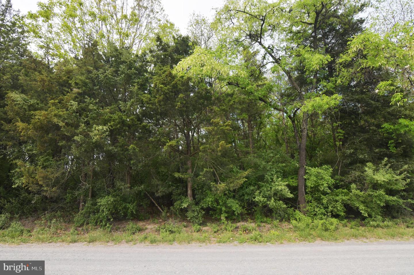 LOT 51 SHENANDOAH RIVER LN, FRONT ROYAL, Virginia 22630, ,Land,For sale,LOT 51 SHENANDOAH RIVER LN,VACL2003674 MLS # VACL2003674
