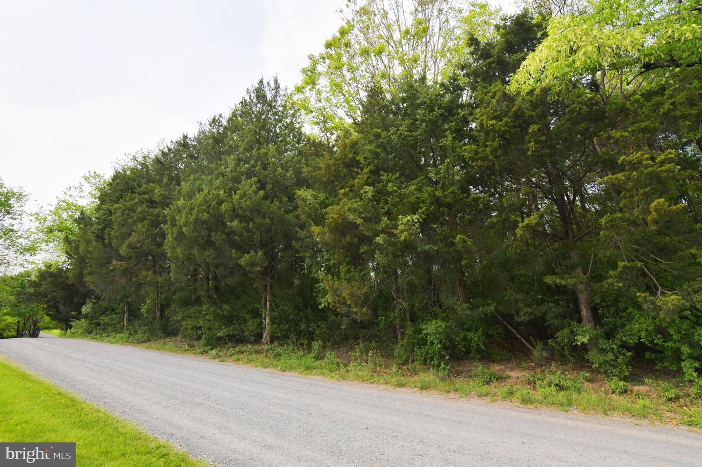 LOT 51 SHENANDOAH RIVER LN, FRONT ROYAL, Virginia 22630, ,Land,For sale,LOT 51 SHENANDOAH RIVER LN,VACL2003674 MLS # VACL2003674