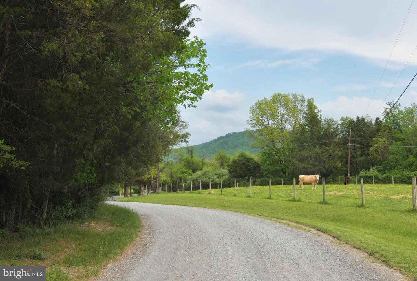 LOT 51 SHENANDOAH RIVER LN, FRONT ROYAL, Virginia 22630, ,Land,For sale,LOT 51 SHENANDOAH RIVER LN,VACL2003674 MLS # VACL2003674