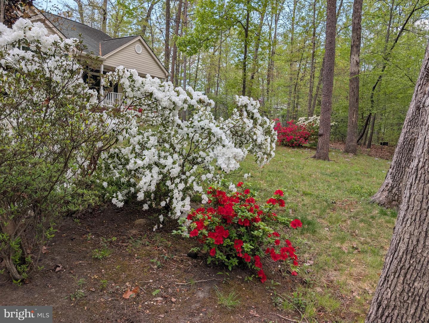 317 EDGEHILL DR, LOCUST GROVE, Virginia 22508, 3 Bedrooms Bedrooms, 7 Rooms Rooms,2 BathroomsBathrooms,Residential,For sale,317 EDGEHILL DR,VAOR2009048 MLS # VAOR2009048