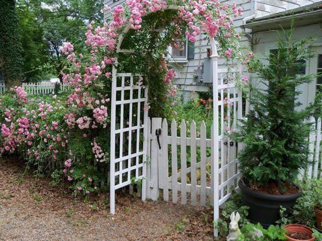 104 W COLLEGE ST, BRIDGEWATER, Virginia 22812, 5 Bedrooms Bedrooms, ,4 BathroomsBathrooms,Residential,104 W COLLEGE ST,663935 MLS # 663935