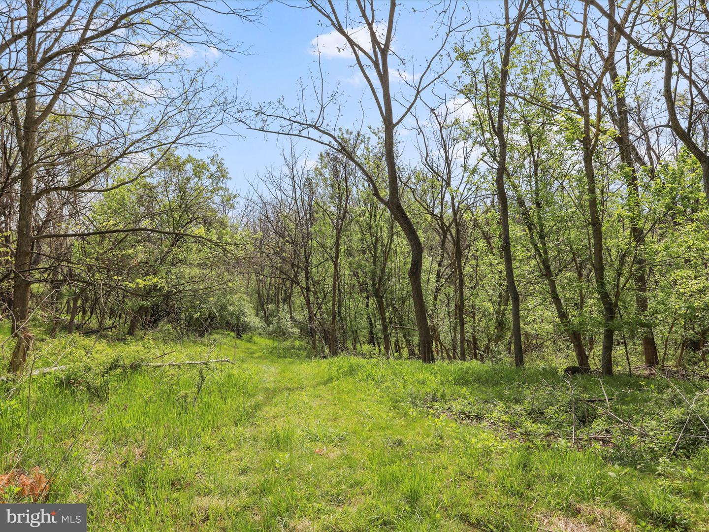 2671 PARSHALL RD, BERRYVILLE, Virginia 22611, 3 Bedrooms Bedrooms, ,4 BathroomsBathrooms,Residential,For sale,2671 PARSHALL RD,VACL2003514 MLS # VACL2003514