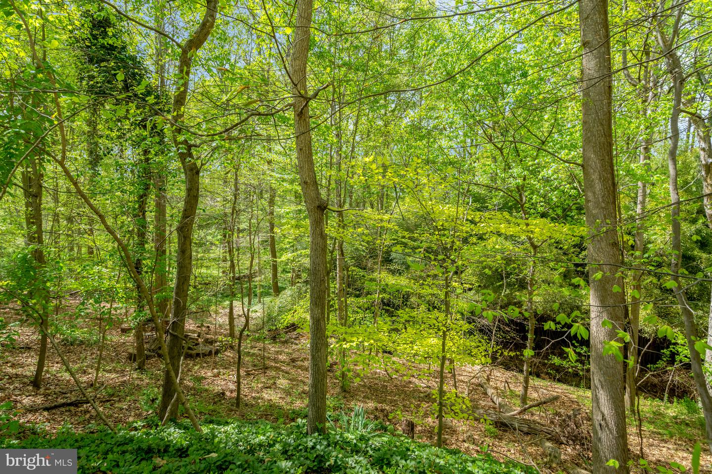 3320 HIGHLAND LN, FAIRFAX, Virginia 22031, 4 Bedrooms Bedrooms, ,3 BathroomsBathrooms,Residential,For sale,3320 HIGHLAND LN,VAFX2228352 MLS # VAFX2228352