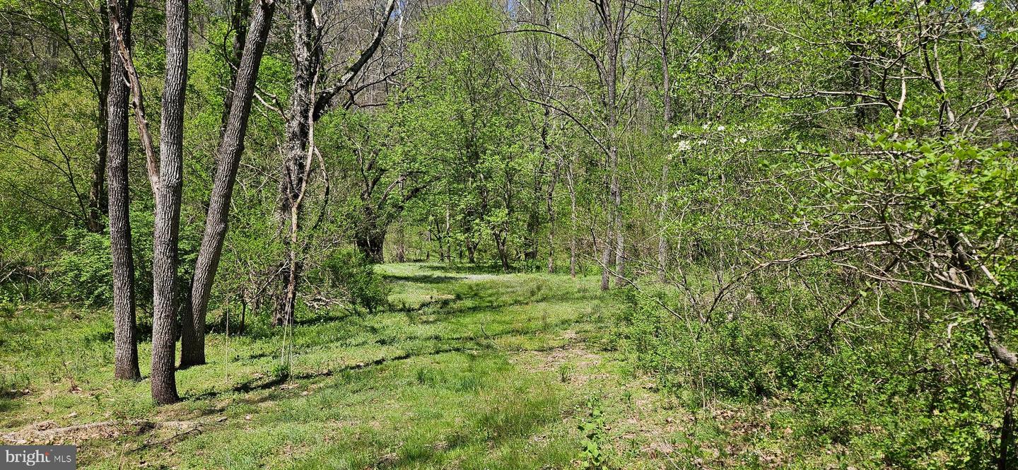12330 CHASTAIN, HUME, Virginia 22639, 3 Bedrooms Bedrooms, ,2 BathroomsBathrooms,Residential,For sale,12330 CHASTAIN,VAFQ2015904 MLS # VAFQ2015904