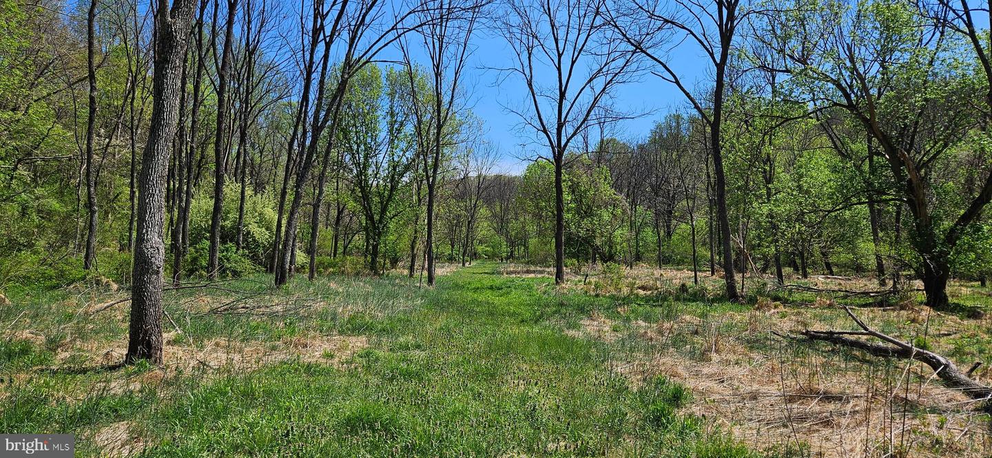 12330 CHASTAIN, HUME, Virginia 22639, 3 Bedrooms Bedrooms, ,2 BathroomsBathrooms,Residential,For sale,12330 CHASTAIN,VAFQ2015904 MLS # VAFQ2015904
