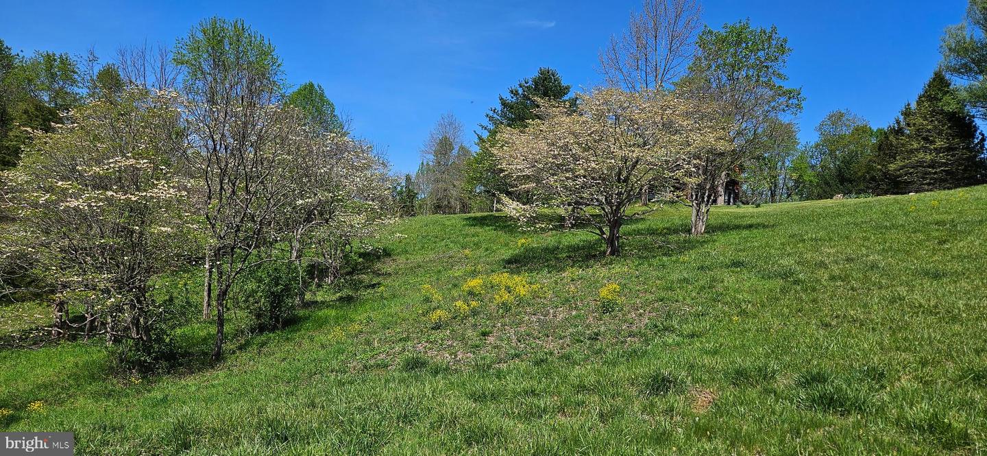 12330 CHASTAIN, HUME, Virginia 22639, 3 Bedrooms Bedrooms, ,2 BathroomsBathrooms,Residential,For sale,12330 CHASTAIN,VAFQ2015904 MLS # VAFQ2015904