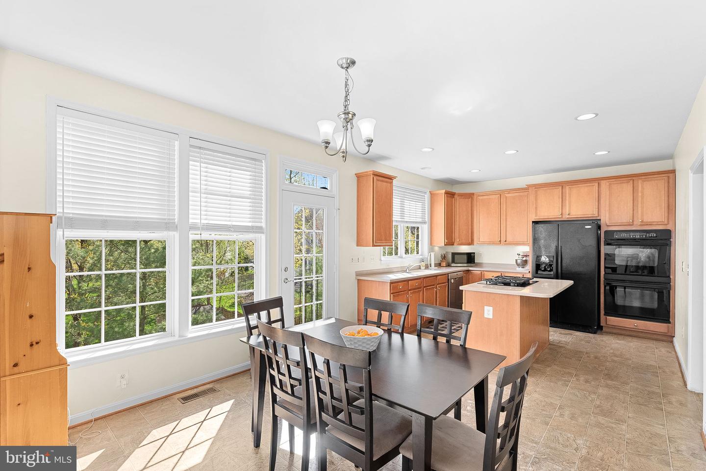 22034 STONE HOLLOW DR, BROADLANDS, Virginia 20148, 5 Bedrooms Bedrooms, ,3 BathroomsBathrooms,Residential,For sale,22034 STONE HOLLOW DR,VALO2092916 MLS # VALO2092916