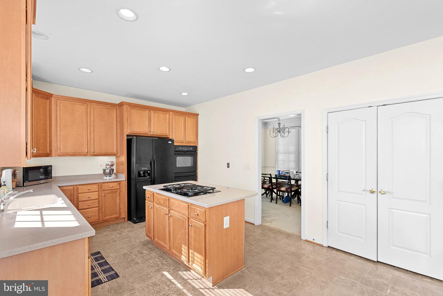 22034 STONE HOLLOW DR, BROADLANDS, Virginia 20148, 5 Bedrooms Bedrooms, ,3 BathroomsBathrooms,Residential,For sale,22034 STONE HOLLOW DR,VALO2092916 MLS # VALO2092916