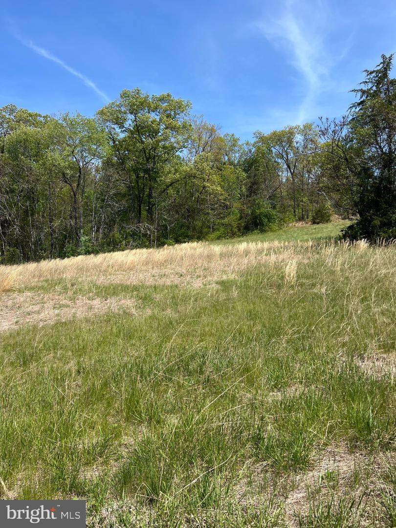 3721 WEST HOOVER ROAD, HAYWOOD, Virginia 22722, 3 Bedrooms Bedrooms, ,2 BathroomsBathrooms,Residential,For sale,3721 WEST HOOVER ROAD,VAMA2002176 MLS # VAMA2002176