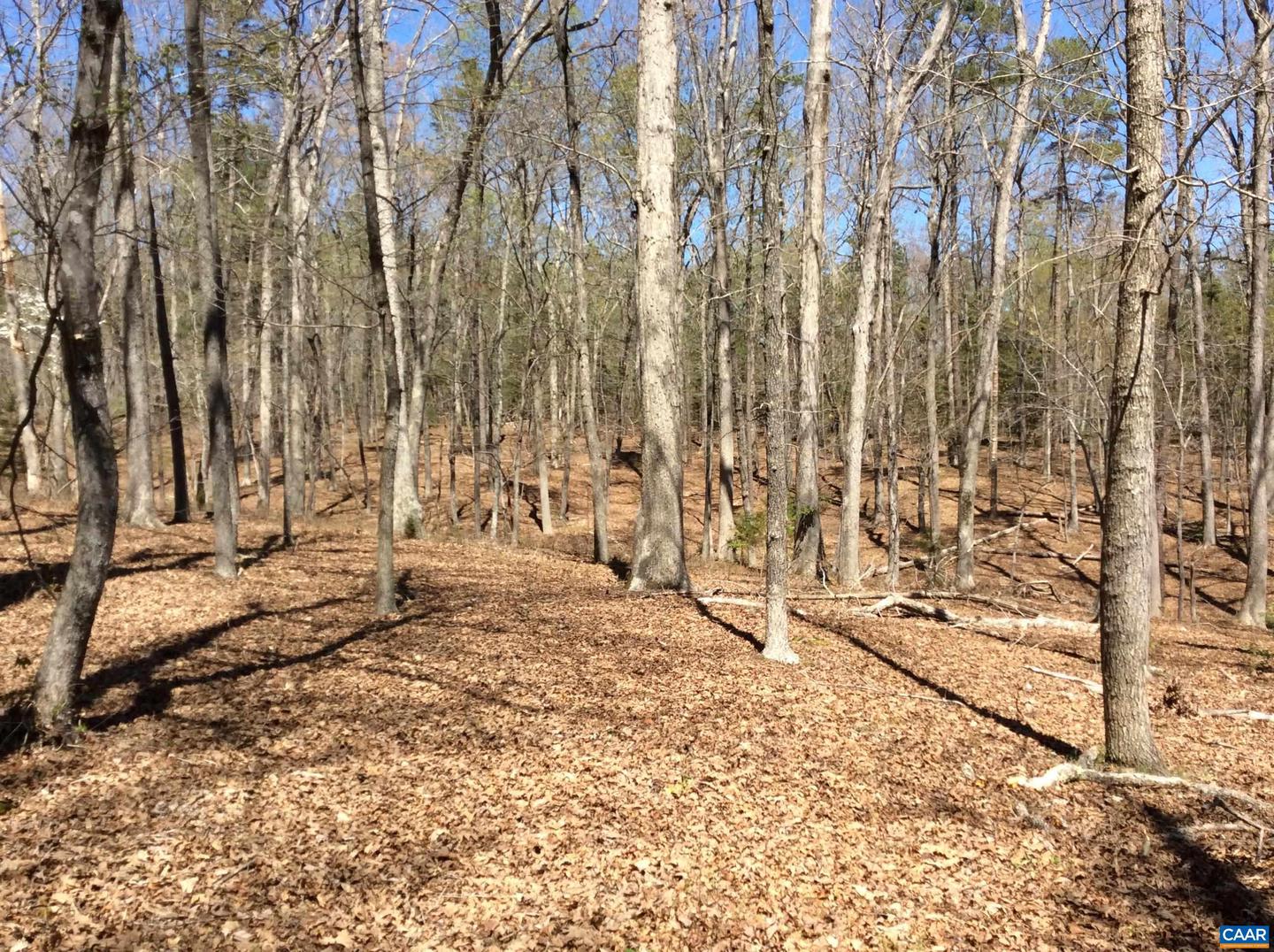 2987 PAYNES POND RD, SCOTTSVILLE, Virginia 24590, 4 Bedrooms Bedrooms, ,1 BathroomBathrooms,Farm,For sale,2987 PAYNES POND RD,663954 MLS # 663954