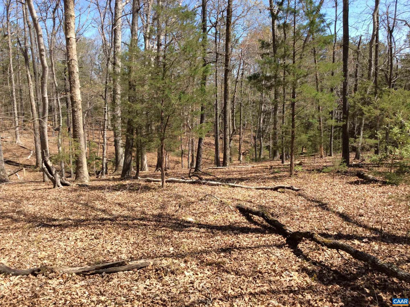 2987 PAYNES POND RD, SCOTTSVILLE, Virginia 24590, 4 Bedrooms Bedrooms, ,1 BathroomBathrooms,Farm,For sale,2987 PAYNES POND RD,663954 MLS # 663954