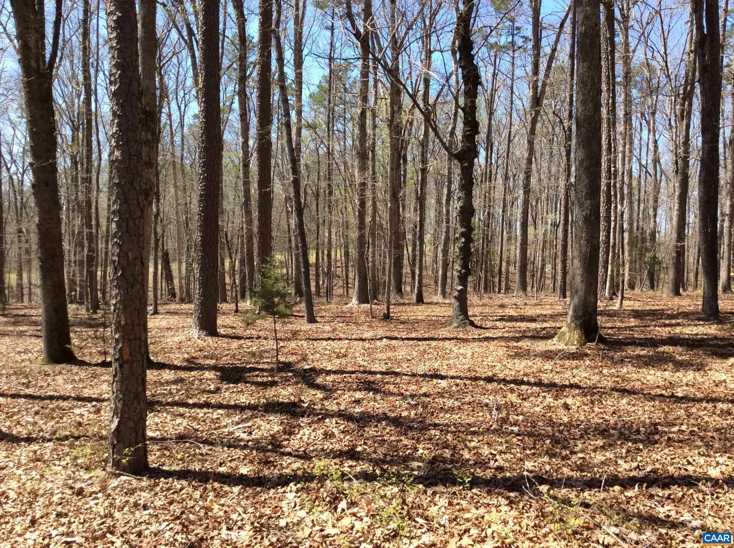 2987 PAYNES POND RD, SCOTTSVILLE, Virginia 24590, 4 Bedrooms Bedrooms, ,1 BathroomBathrooms,Farm,For sale,2987 PAYNES POND RD,663954 MLS # 663954