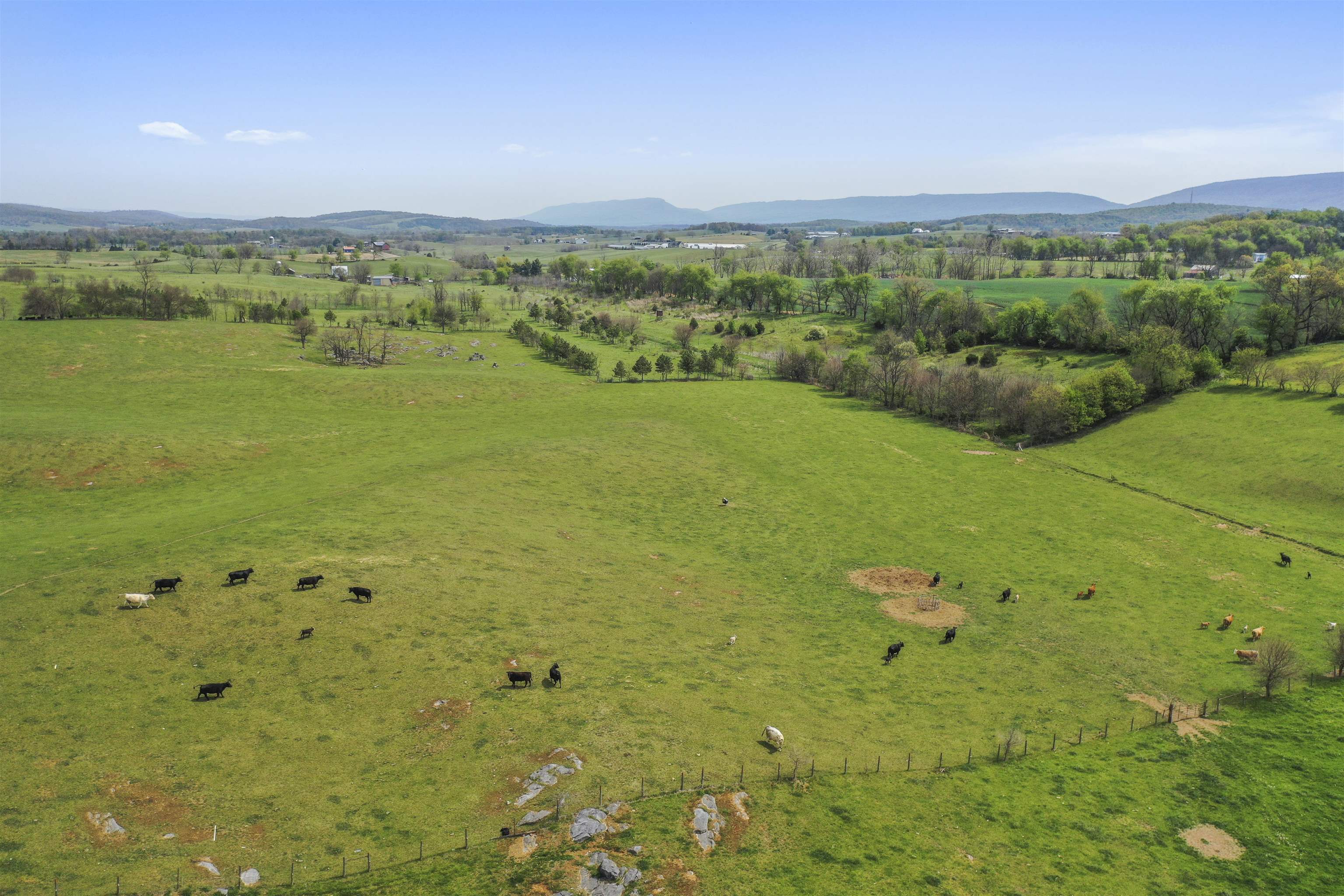 14004 AMERICAN LEGION DR, BROADWAY, Virginia 22815, ,Farm,14004 AMERICAN LEGION DR,663964 MLS # 663964