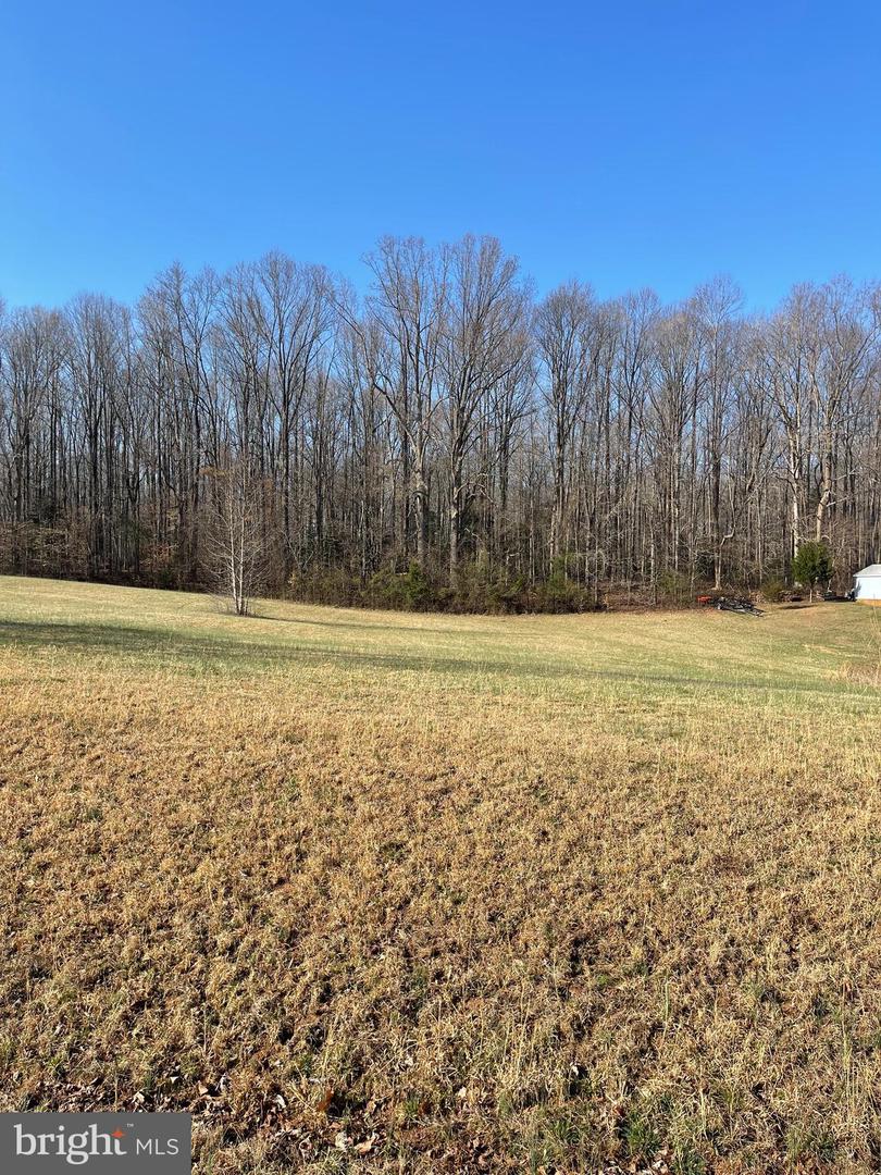 LOT 40 SECLUSION SHORES DR, MINERAL, Virginia 23117, ,Land,For sale,LOT 40 SECLUSION SHORES DR,VALA2007746 MLS # VALA2007746