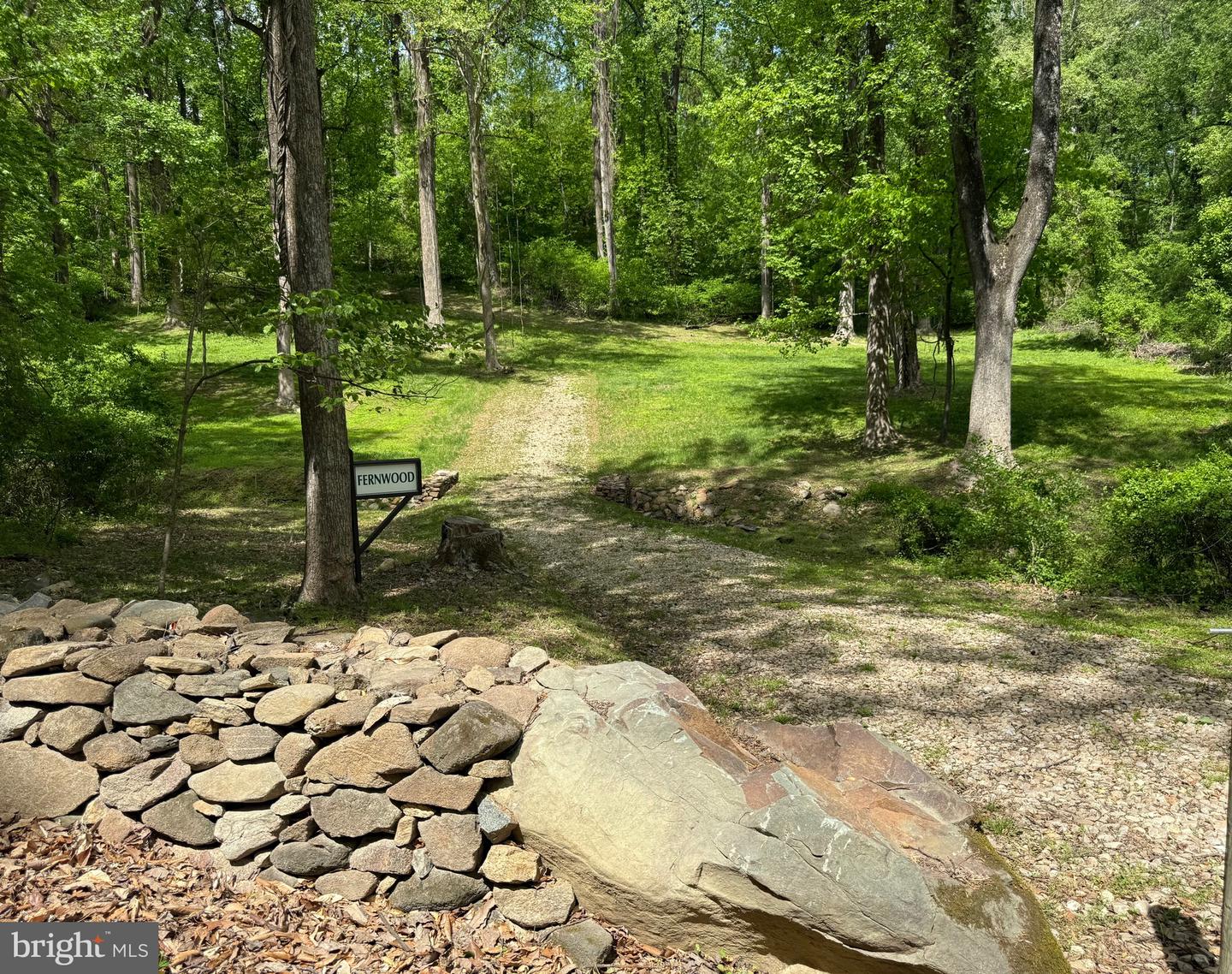 RILEY HOLLOW ROAD, HUNTLY, Virginia 22640, ,Land,For sale,RILEY HOLLOW ROAD,VARP2002058 MLS # VARP2002058