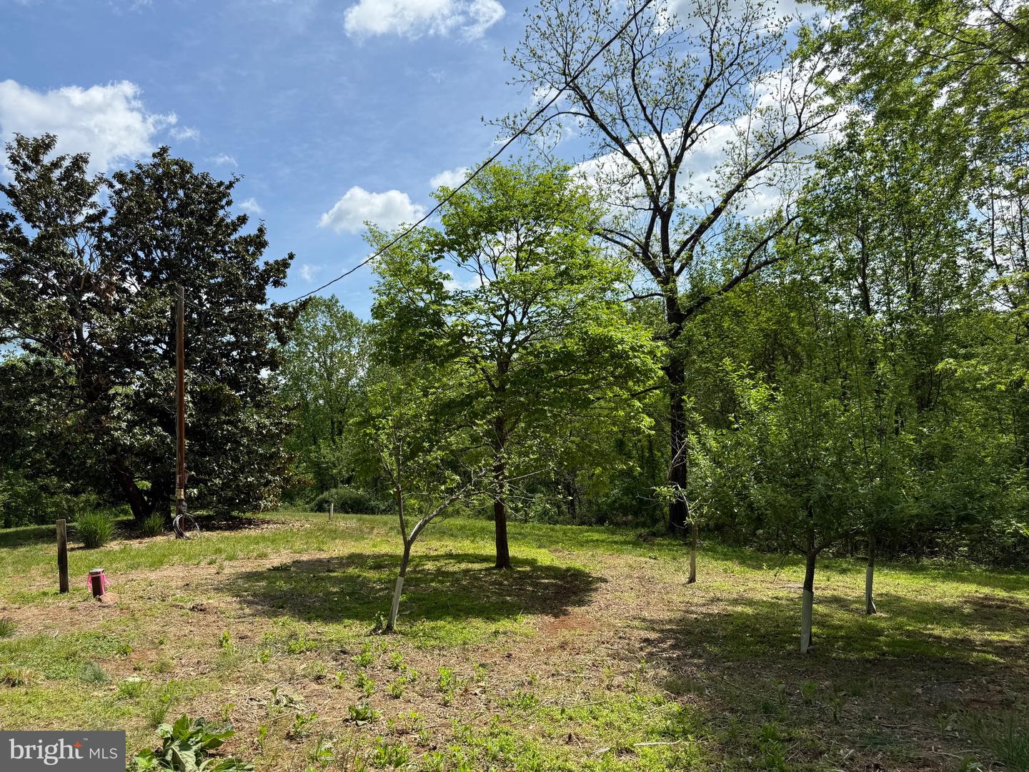 RILEY HOLLOW ROAD, HUNTLY, Virginia 22640, ,Land,For sale,RILEY HOLLOW ROAD,VARP2002058 MLS # VARP2002058