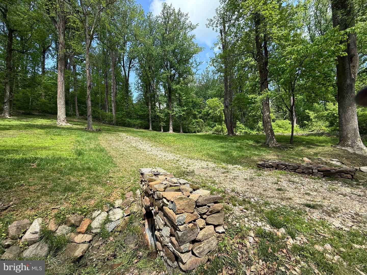 RILEY HOLLOW ROAD, HUNTLY, Virginia 22640, ,Land,For sale,RILEY HOLLOW ROAD,VARP2002058 MLS # VARP2002058