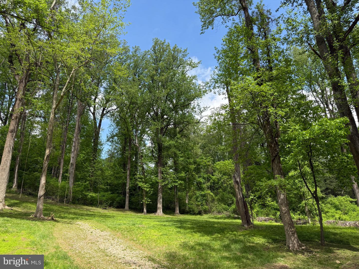 RILEY HOLLOW ROAD, HUNTLY, Virginia 22640, ,Land,For sale,RILEY HOLLOW ROAD,VARP2002058 MLS # VARP2002058