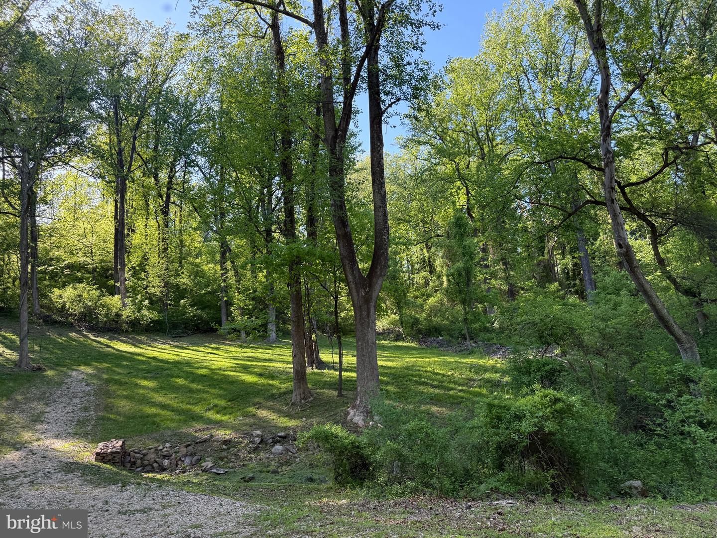 RILEY HOLLOW ROAD, HUNTLY, Virginia 22640, ,Land,For sale,RILEY HOLLOW ROAD,VARP2002058 MLS # VARP2002058