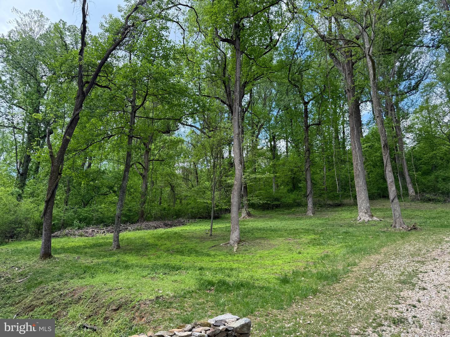 RILEY HOLLOW ROAD, HUNTLY, Virginia 22640, ,Land,For sale,RILEY HOLLOW ROAD,VARP2002058 MLS # VARP2002058