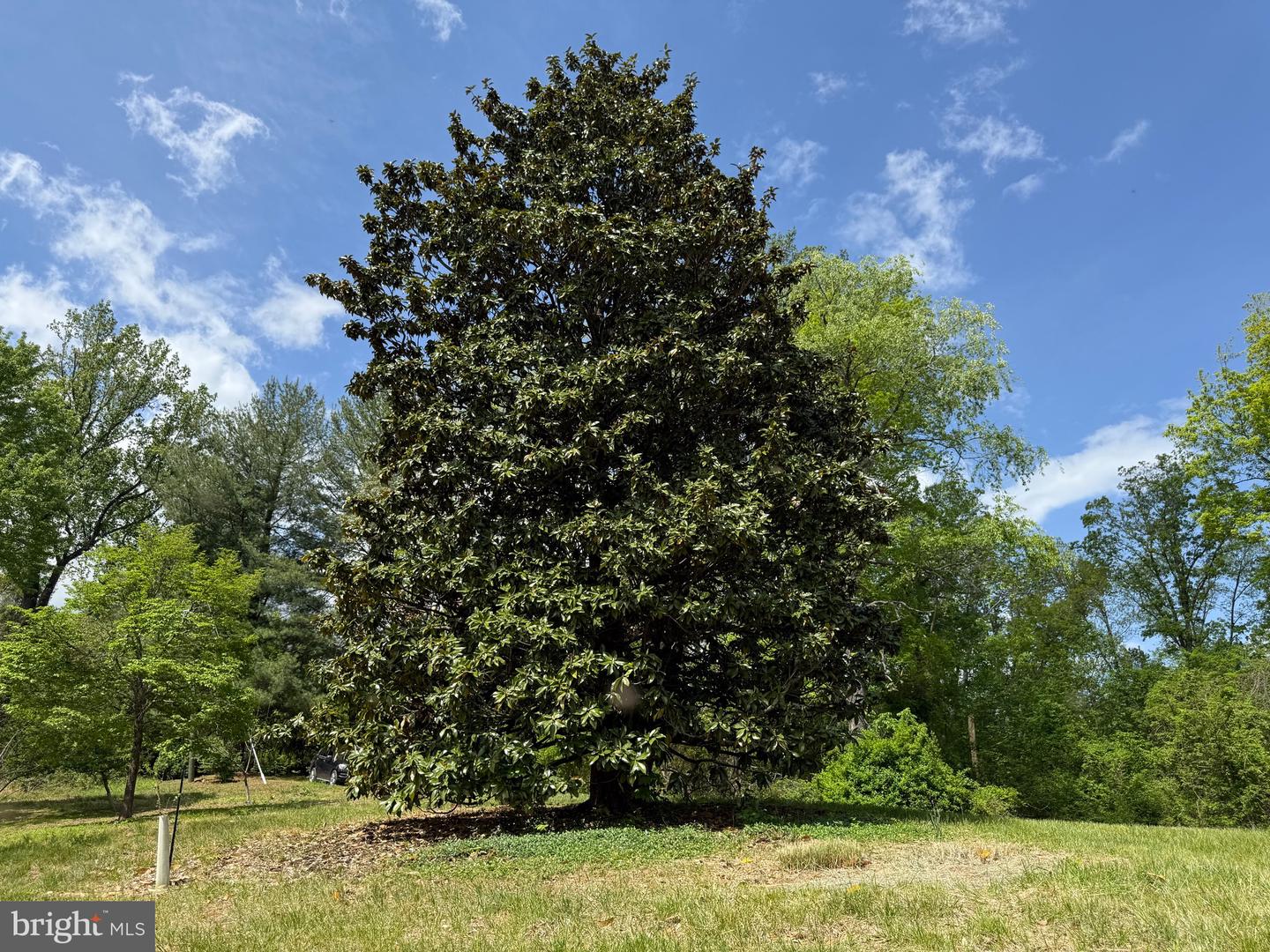 RILEY HOLLOW ROAD, HUNTLY, Virginia 22640, ,Land,For sale,RILEY HOLLOW ROAD,VARP2002058 MLS # VARP2002058
