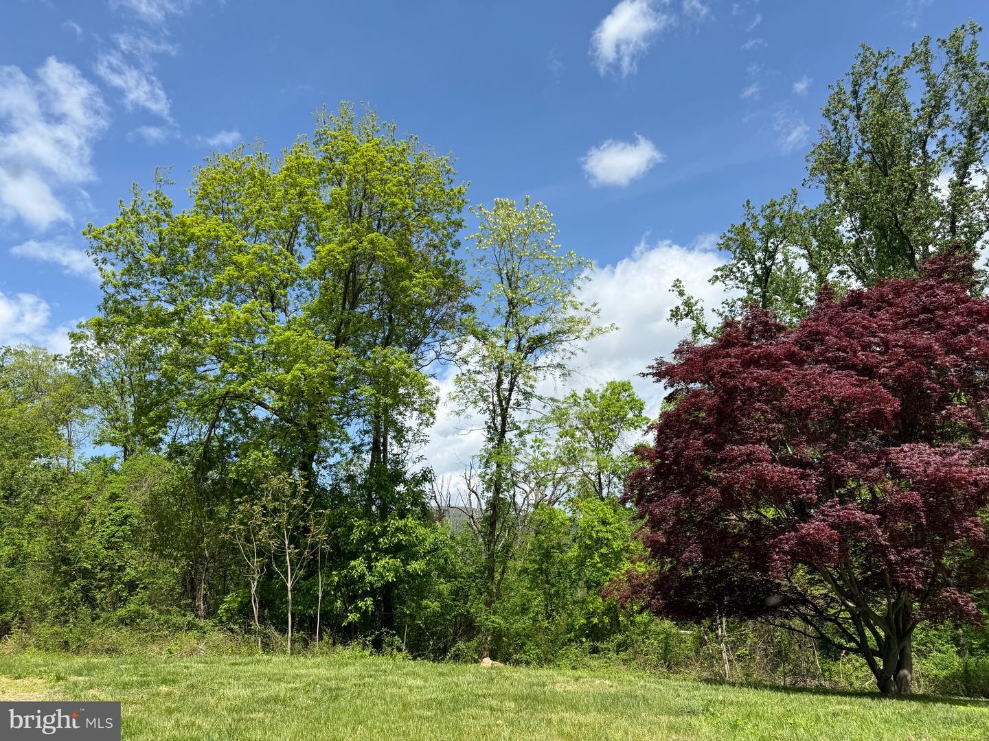 RILEY HOLLOW ROAD, HUNTLY, Virginia 22640, ,Land,For sale,RILEY HOLLOW ROAD,VARP2002058 MLS # VARP2002058
