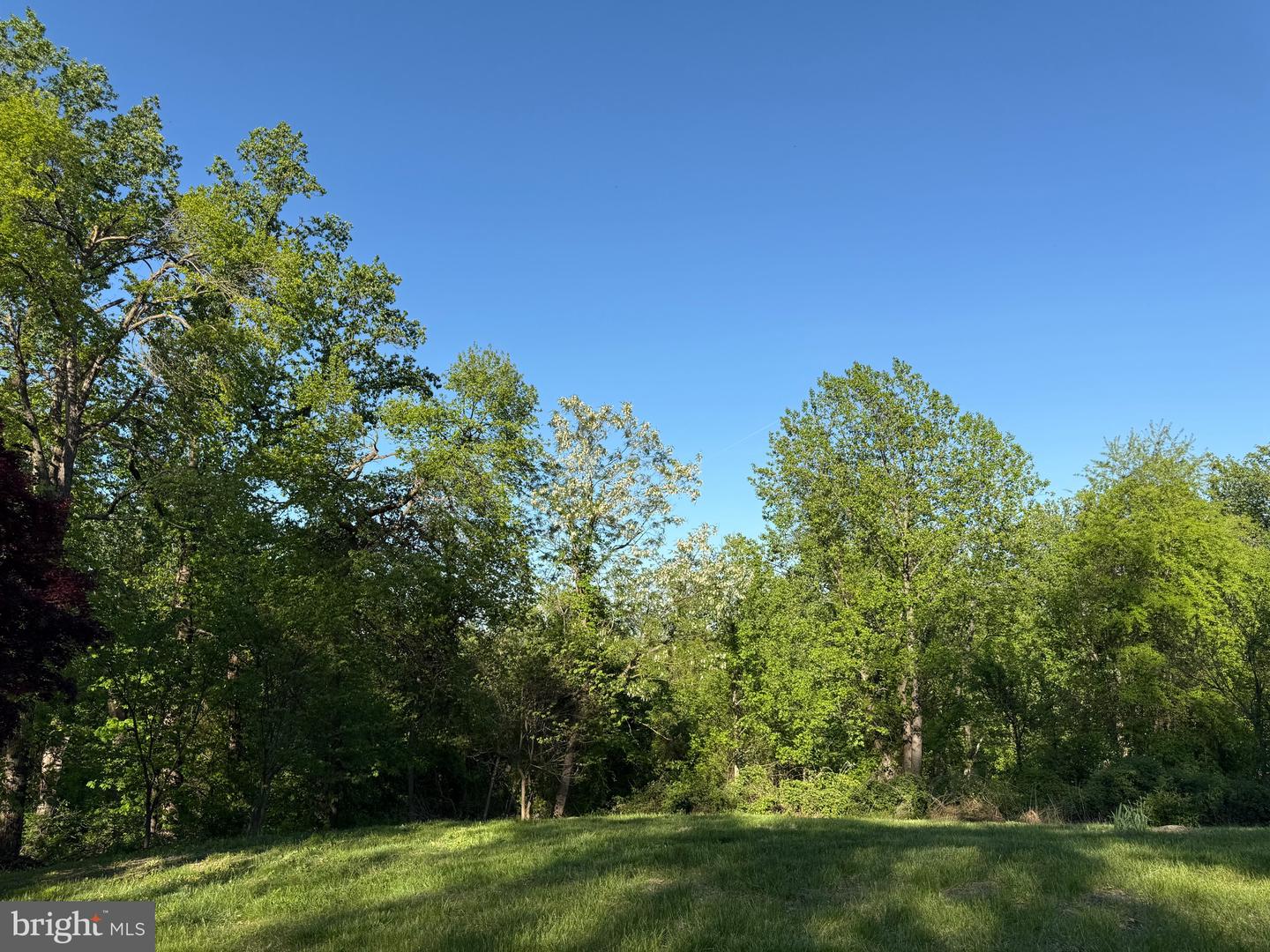 RILEY HOLLOW ROAD, HUNTLY, Virginia 22640, ,Land,For sale,RILEY HOLLOW ROAD,VARP2002058 MLS # VARP2002058
