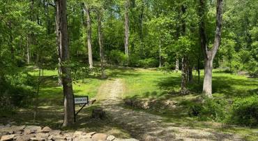 RILEY HOLLOW ROAD, HUNTLY, Virginia 22640, ,Land,For sale,RILEY HOLLOW ROAD,VARP2002058 MLS # VARP2002058