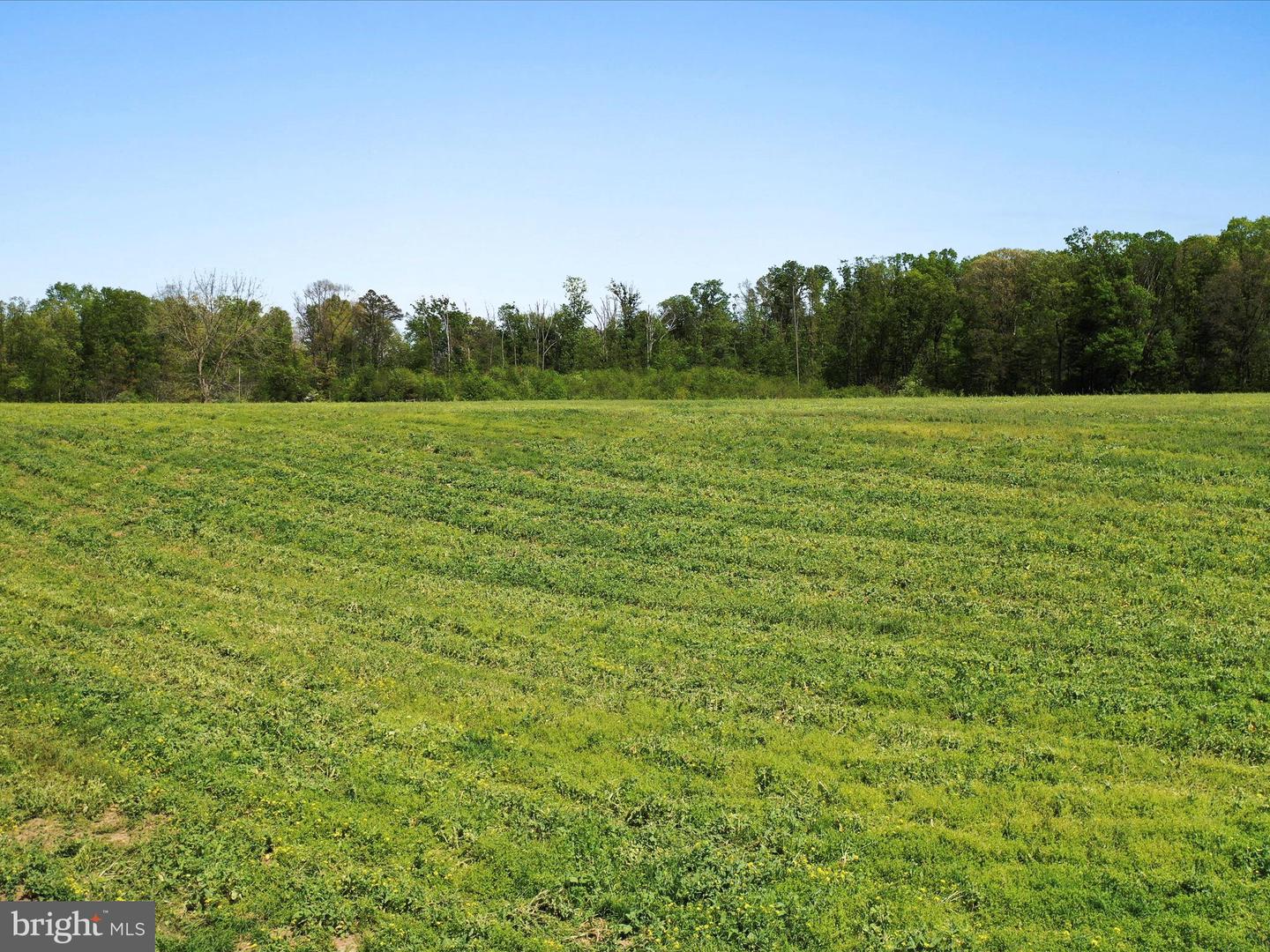 0 PLEASANT VIEW RD, MOUNT JACKSON, Virginia 22842, ,Land,For sale,0 PLEASANT VIEW RD,VASH2011288 MLS # VASH2011288