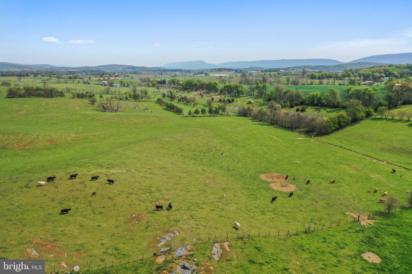 14004 AMERICAN LEGION DR, BROADWAY, Virginia 22815, ,Farm,For sale,14004 AMERICAN LEGION DR,VARO2002254 MLS # VARO2002254